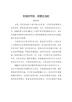 冬至时节至田管正当时.docx