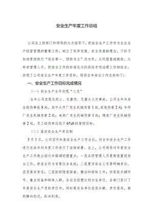 安全生产年度工作总结.docx