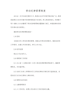 劳动纪律管理制度.docx