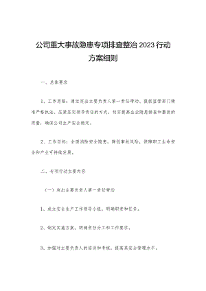 公司重大事故隐患专项排查整治2023行动方案细则.docx