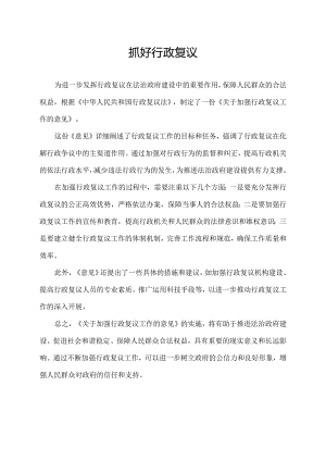 抓好行政复议.docx