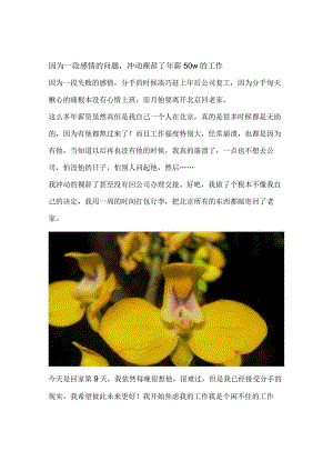 因为一段感情的问题冲动裸辞了年薪50w的工作.docx