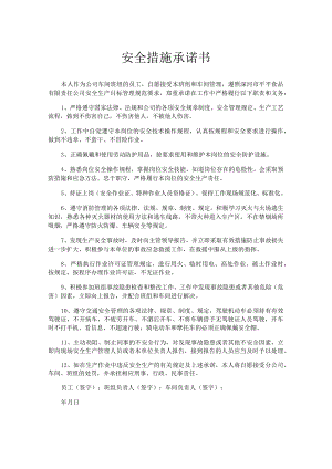 安全措施承诺书.docx