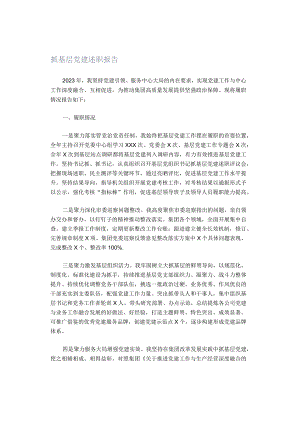抓基层党建述职报告(5).docx