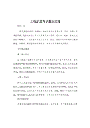 工程质量专项整治措施.docx