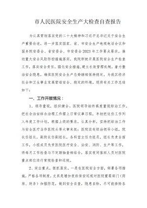 市人民医院安全生产大检查自查报告.docx