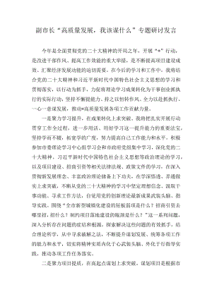 副市长“高质量发展我该谋什么”专题研讨发言(3篇).docx