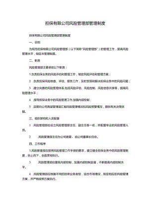 担保有限公司风险管理部管理制度.docx
