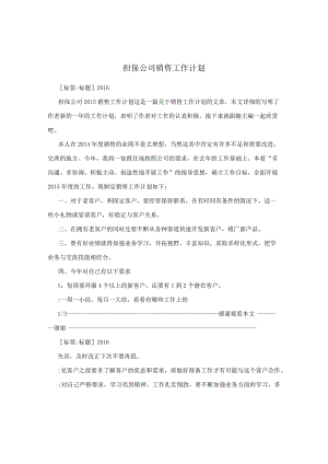 担保公司销售工作计划.docx