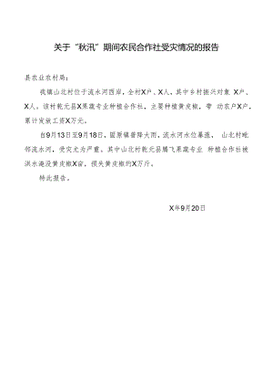 关于“秋汛”期间农民合作社受灾情况的报告.docx