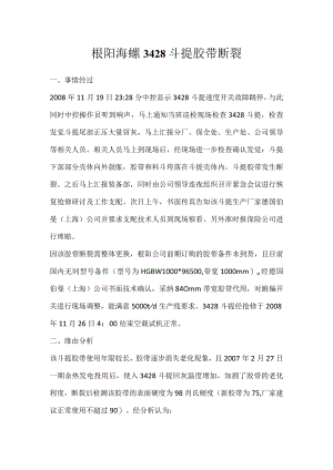 其他伤害-枞阳海螺3428斗提胶带断裂.docx