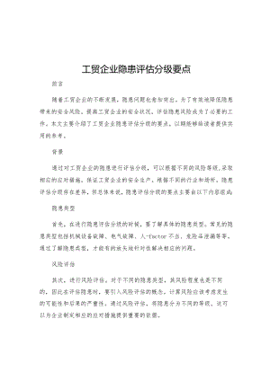 工贸企业隐患评估分级要点.docx