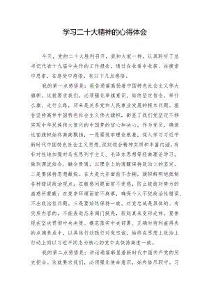 学习二十大精神的心得体会.docx