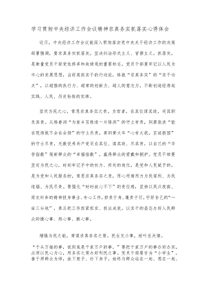 学习贯彻中央经济工作会议精神求真务实抓落实心得体会.docx