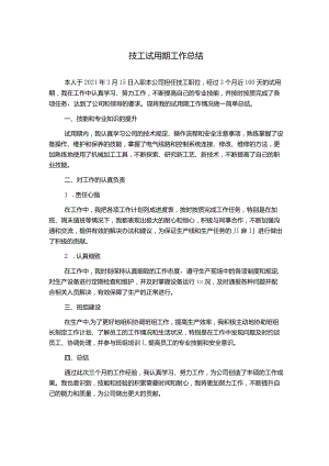 技工试用期工作总结.docx