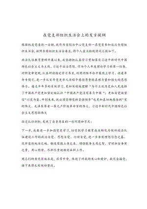 在党支部组织生活会上的发言提纲.docx