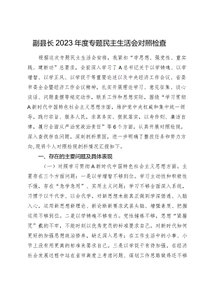 副县长2023年度主题教育专题民主生活会对照检查5300字（最新6个方面“践行宗旨、服务人民”）.docx