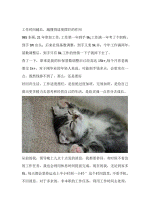 工作时间越长越懂得适度摆烂的作用.docx
