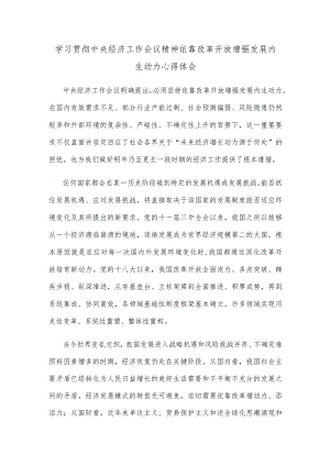 学习贯彻中央经济工作会议精神依靠改革开放增强发展内生动力心得体会.docx
