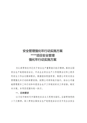 安全管理强化年行动实施方案.docx