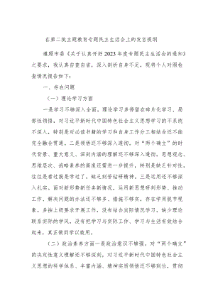 在第二批主题教育专题民主生活会上的发言提纲.docx