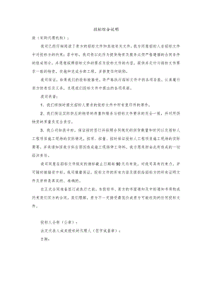 投标综合说明.docx