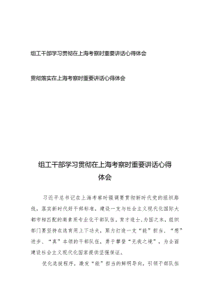 学习贯彻落实在上海考察时重要讲话心得体会2篇.docx
