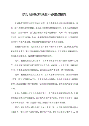 执行组织纪律深度不够整改措施.docx