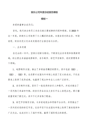娱乐公司年度总结报告模板.docx