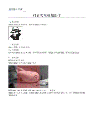 抖音内容号创作.docx