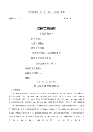 塔吊安全监理细则.docx