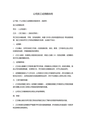 公司员工试用期合同.docx