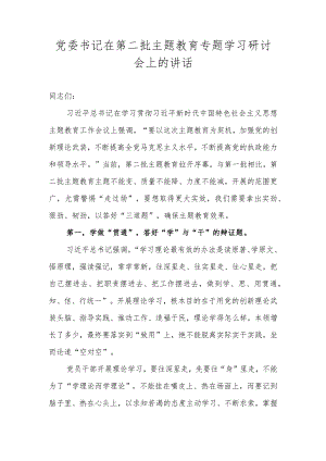 党委书记在第二批主题教育专题学习研讨会上的讲话.docx