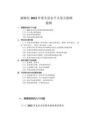 副镇长2022年度民主生活会个人发言提纲.docx
