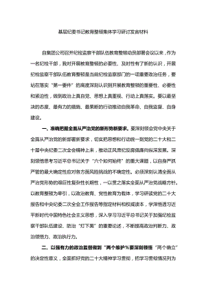 基层纪委书记教育整顿集体学习研讨发言材料3.docx