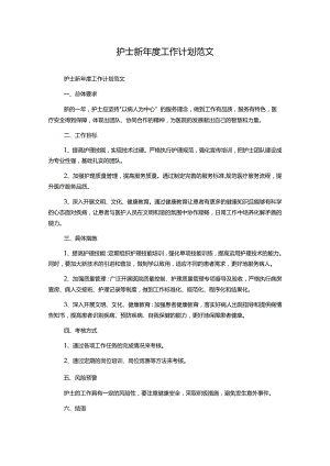 护士新年度工作计划范文.docx