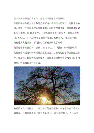 在一家大型劳务公司工作分享一下是什么样的体验.docx