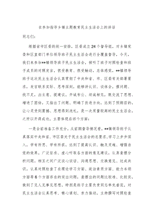 在参加指导乡镇主题教育民主生活会上的讲话.docx