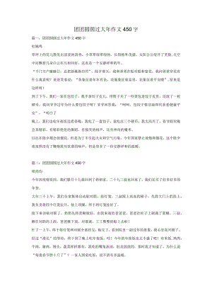 团团圆圆过大年作文450字.docx