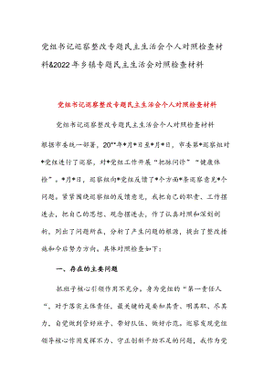 党组书记巡察整改专题民主生活会个人对照检查材料&2022年乡镇专题民主生活会对照检查材料.docx