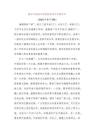 强化开放提升拓展民营经济发展空间.docx