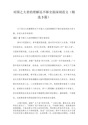 对国之大者的理解还不够全面深刻范文(精选3篇).docx