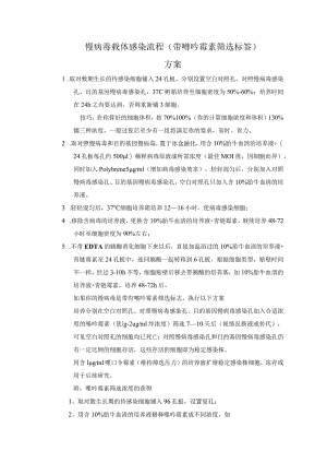 慢病毒感染protocol.docx