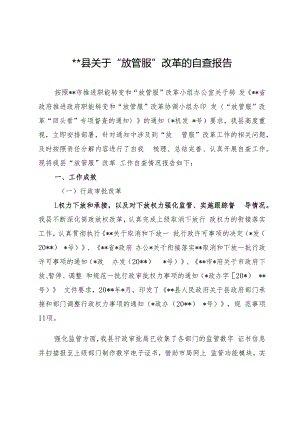 关于“放管服”改革的自查报告(总结).docx