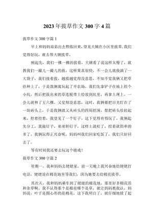 2023年拔草作文300字4篇.docx