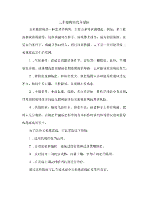 玉米穗腐病发芽原因.docx
