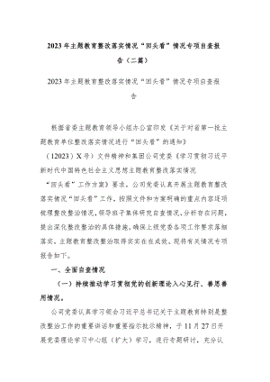 2023年主题教育整改落实情况“回头看”情况专项自查报告(二篇).docx