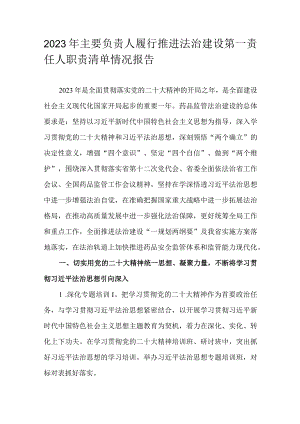 2023年主要负责人履行推进法治建设第一责任人职责清单情况报告.docx