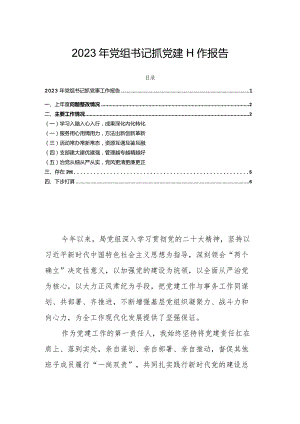 2023年党组书记抓党建工作报告.docx