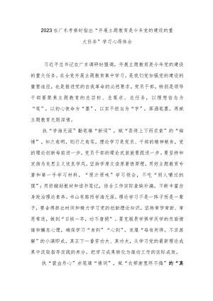 2023在广东考察时指出“开展主题教育是今年党的建设的重大任务”学习心得体会3篇.docx